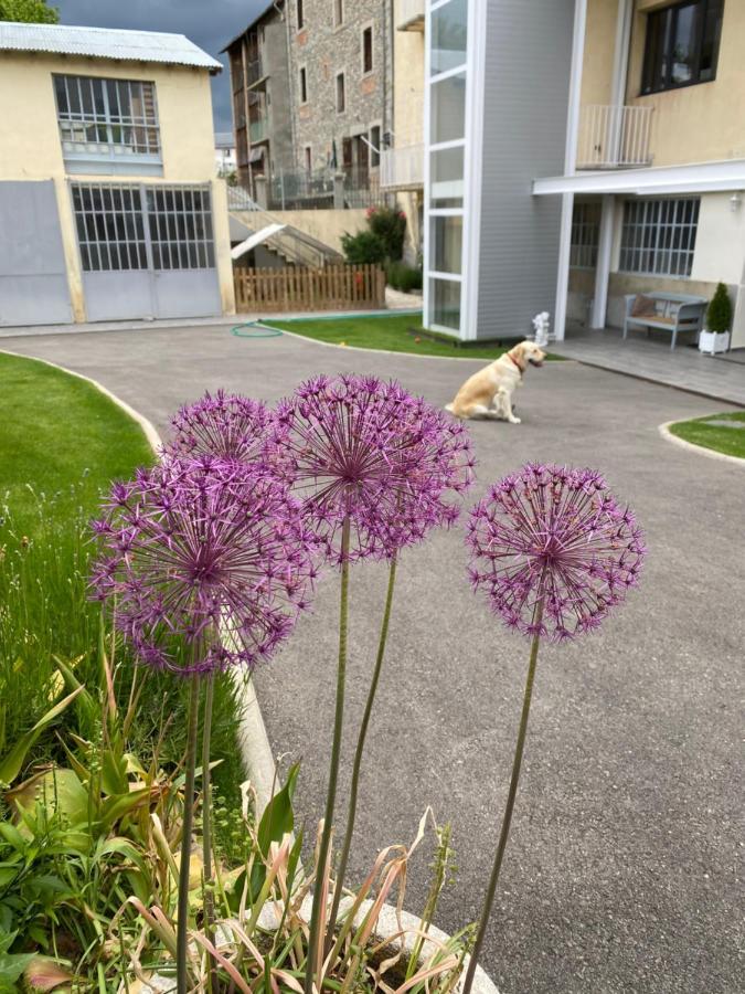 Апартаменты Chez Helene 3 Etoiles, Labellise Disabled Pmr,Pour 4 Personnes Chiens Bienvenus-Pet Friendly Бур-Мадам Экстерьер фото